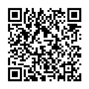 竟然和下午的时候我看到的那个师兄是一模一样的二维码生成