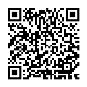 竟然在自己的面前好像一个做错事的小女孩一样红着脸低着头二维码生成