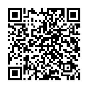 竟然将下方所有人心中的暴躁和嗜杀的情绪都给安抚了下來二维码生成