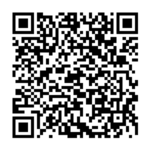 竟然就戴珊这个左都御史及曾毅这个左佥都御史两个真正意义上的领导层官员了二维码生成