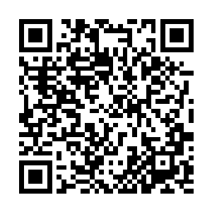 竟然放进来了一尊他惹不起又躲不起的一品诰命夫人进来二维码生成