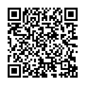 竟然是不知所踪的贾人义和栖居西岛村的阿图布二维码生成