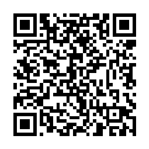 竟然有一只大黄狗正叼着一张卡片虎视眈眈地盯着他二维码生成