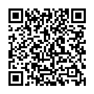 竟然比上一次黑龙召集地底大军攻打希望之城还夸张二维码生成