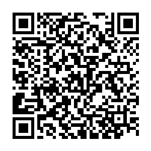 竟然毫不犹豫地把自己视之如命的回龙刀丢出去抵挡不净大师……二维码生成
