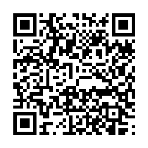 竟然没有把这些曾经被尸鬼一族用星光淬炼过的身躯拿走二维码生成