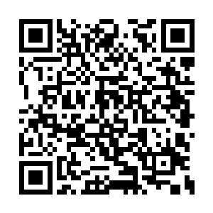 竟然没有让许紫烟释放的剑意之网有丝毫的松动二维码生成