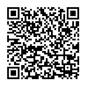 竟然直接从络腮胡子那已经被打爆了脑袋的颈腔之中深深地穿入了进去二维码生成
