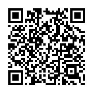 竟然直接夺取了十二祭司中原来那个虫巫的位子二维码生成