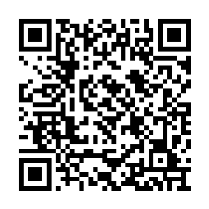 竟然真的在戈尔切克斯基的指挥下开始表演起来二维码生成