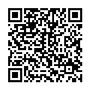 竟然知道我圣宫击杀四周各国天才是为了我圣宫宝物二维码生成