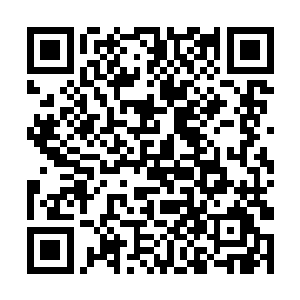 竟然被一个在他们眼中如同蝼蚁般的半步大帝威胁了二维码生成