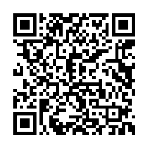 竟然被一枚罗马弩炮发射的弹丸将头颅整个打飞二维码生成