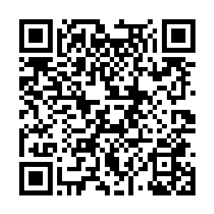 竟然要足足消耗了三颗珍珠内的防御阵法才挡住了二维码生成