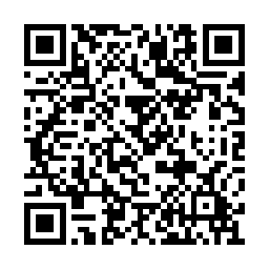 竟然还会锲而不舍地想要撮合自己的儿子和夏兮二维码生成