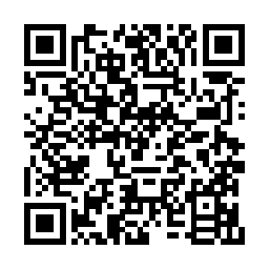 竟然还真被他成功地躲过了警察布下的天罗地网二维码生成