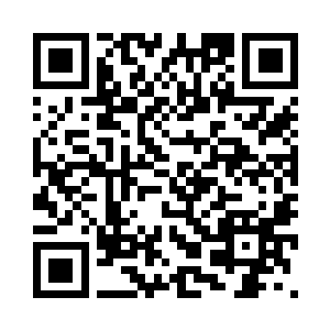 竟然连一个小小的入侵者都拦不住二维码生成