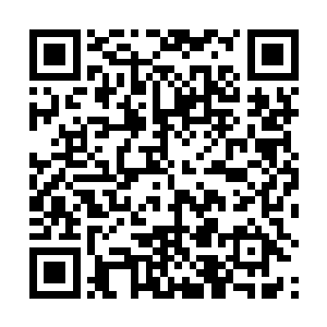 竟然连她自己也不清楚为何生命之树的反击会如此强大二维码生成