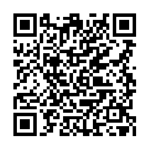 竟然连混沌钟的力量也无法摧毁那个什么万蛊鼎二维码生成