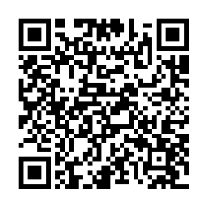 竟然非常的享受直接张开大口把那些气息和妖魂吸入腹中二维码生成