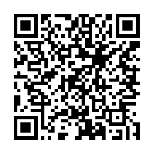 竟犹如实质的直接从眸中迸出爆裂而旋转着的血红细密符文二维码生成