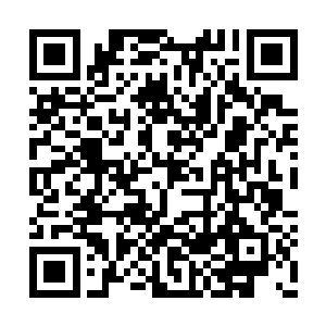 竟看到了在床铺上放置着自己贴身的淡蓝色肚兜二维码生成