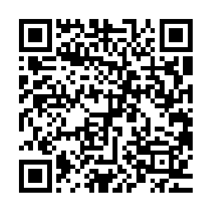 竟这么容易就骗了这单纯的孩子坐在这里老老实实当那傀儡皇帝二维码生成