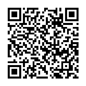 竭力在经脉中运行着如同大河奔流一般的澎湃真元二维码生成