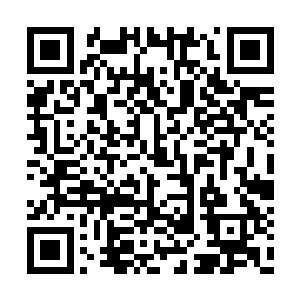 端木刚才还以为柳逸尘就是随便翻翻没有认真看二维码生成