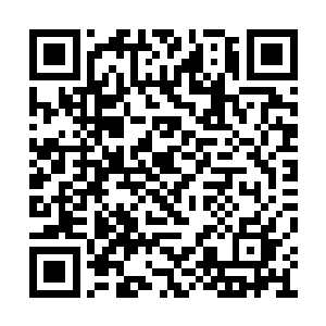 端王府一大早便有小厮将落了一夜的雪扫干净了二维码生成