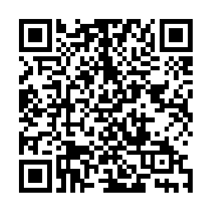 笑君主大人关心我们了……顿时感觉伤口也不那么疼了……二维码生成