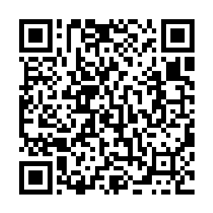 笑呵呵的向着那个一脸担忧的服务生吩咐着自己所要的酒水二维码生成