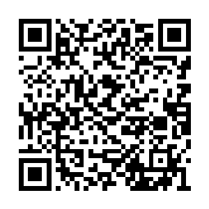 笑嘻嘻地从那位黑衣保镖的手中接过这些日用品二维码生成