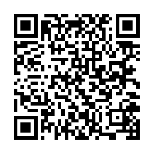 笑开心的叶紫苏忽然发现一旁的王铮只是静静的看着二维码生成