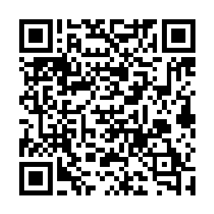 笑眯眯的用面包逗弄大狗塞对方嘴里以后才拍拍手起身二维码生成