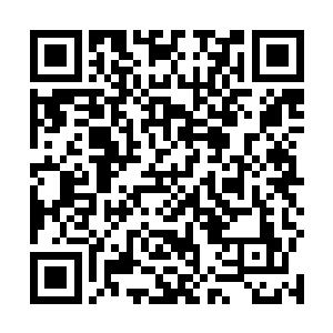笑着从芥子须弥戒里取出了一个比手掌略大的紫色物件二维码生成