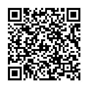 笔者会写出一个苏叶与鱼仔从好兄弟变仇人的桥段二维码生成