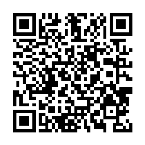 符宝完全可以发挥比修真者更强大的人多的力量二维码生成