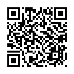 符灵鸟在周围转悠了会最后回来道二维码生成