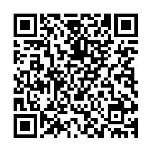 笨寻思也该知道眼前穿着不凡的人该是麒麟集团的首席执行官二维码生成