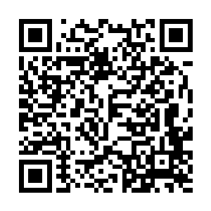 第一个自然是没有任何疑问的剧情类最佳男主角提名二维码生成