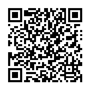 第一句话便问萧晨现在的雷帝是不是最强的王者大帝二维码生成