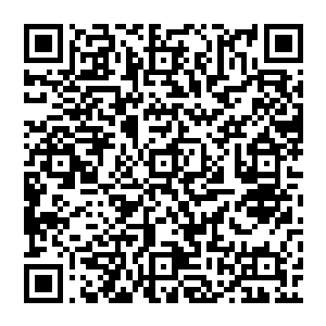 第一场比赛对荣光很不满的卢加诺这个时候也正在自己身边的队友讲述他防守罗比尼奥的经历二维码生成