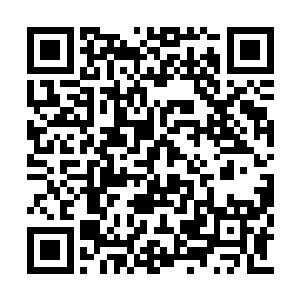 第一是因为我从来不知道我每首歌能拿到多少钱二维码生成