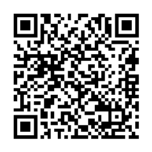 第一次可以不用考虑在明天自己会不会就覆军身死二维码生成