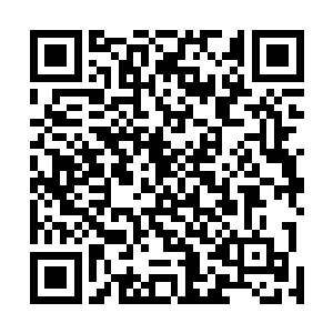 第一次在摇曳的烛火下看到母亲施展这样的鸡鸣狗盗之术二维码生成