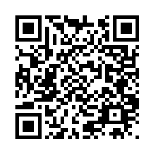 第一次看到山谷中有九天凤鸾草的时候二维码生成