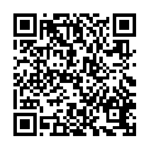 第一次见到龙天的时候小家伙还是个小萝卜头一样的二维码生成