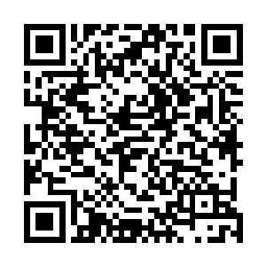 第一次都可以在门派中领取一颗跟自己属性相合的筑基丹二维码生成