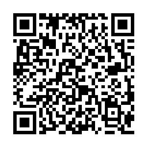 第七十八代族长是出去游历之后就再也没有回来二维码生成